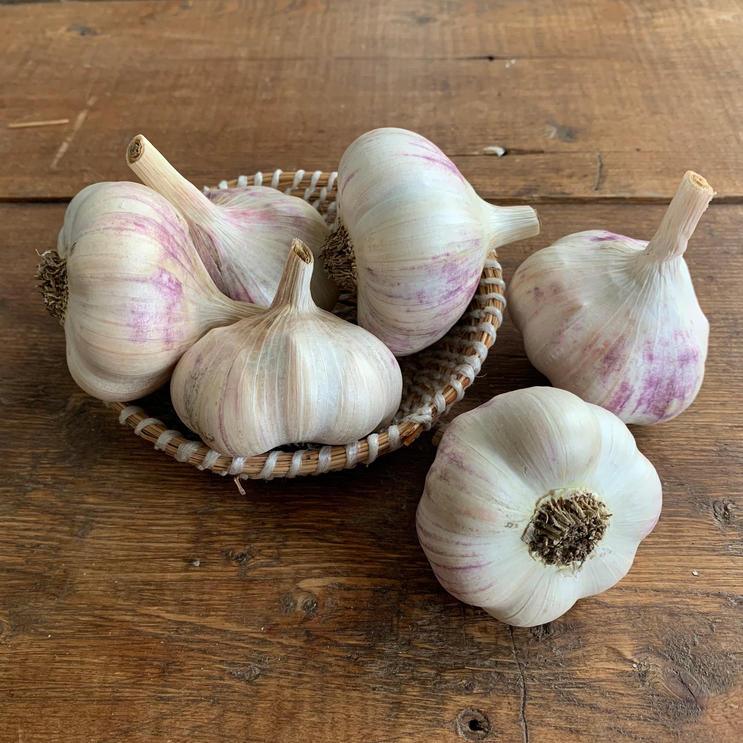 Culinary garlic
