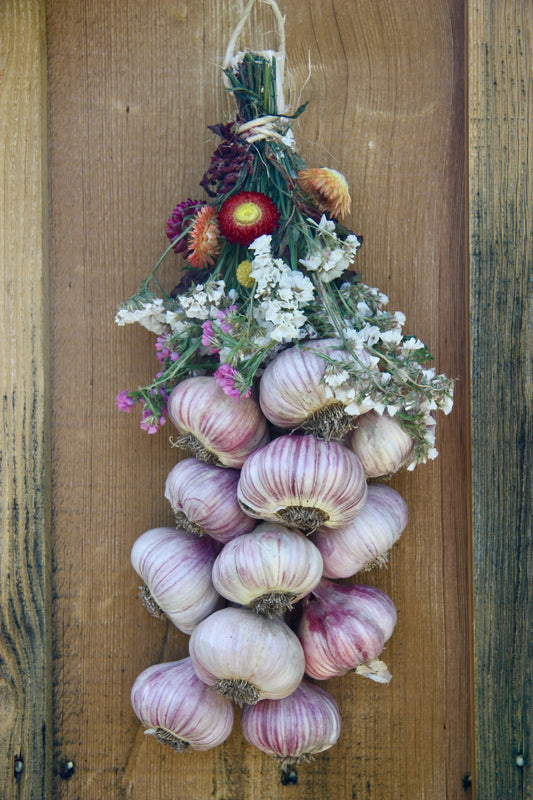 Hardneck Garlic Braids (2026)