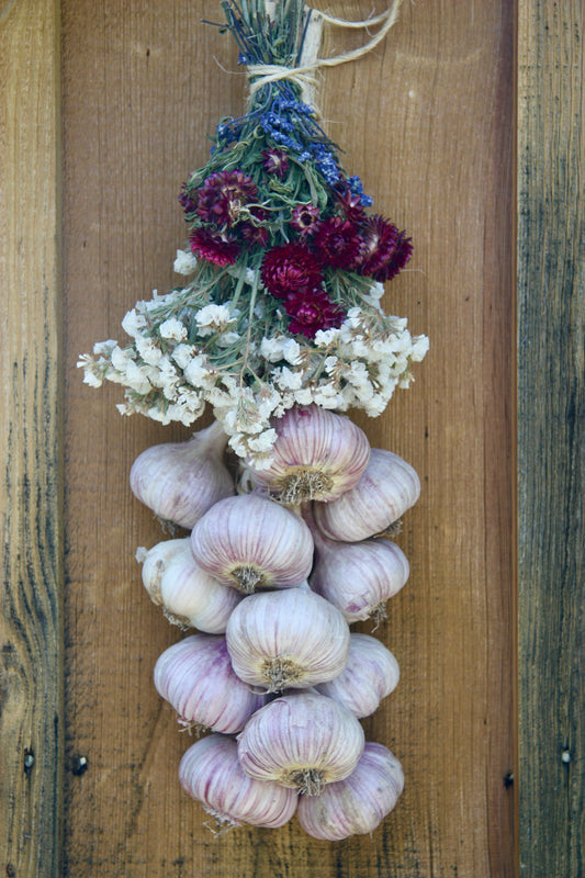 Hardneck Garlic Braids (2026)