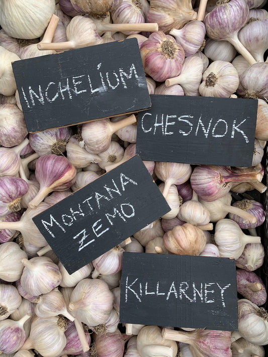Garlic Variety pack